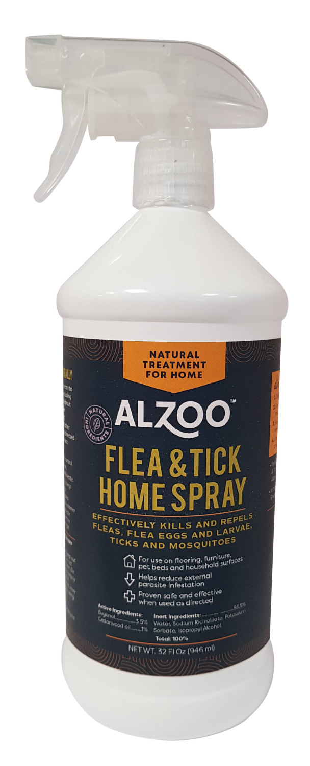AB7 America