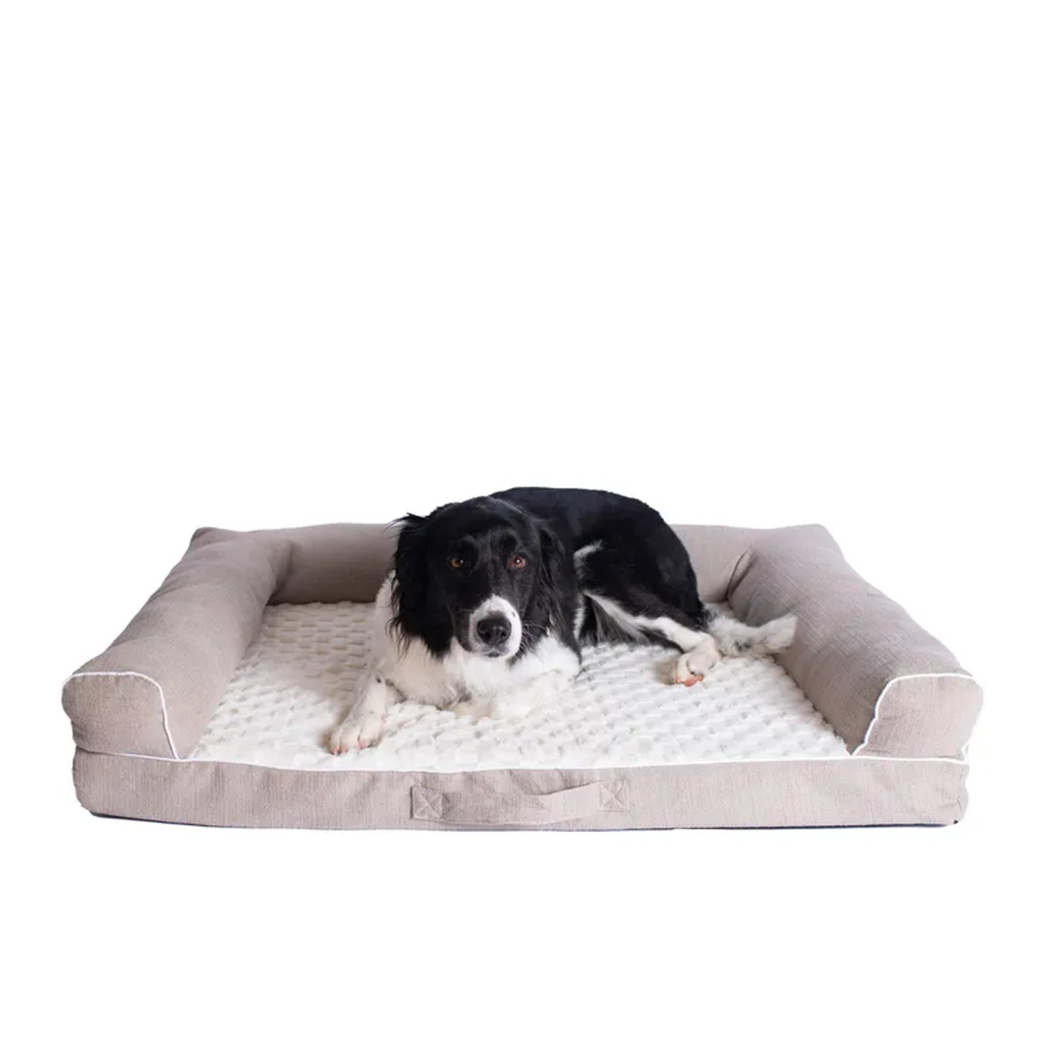 AeroMark International Inc Armarkat D07B Medium Bolstered Pet Bed Cushion W Memory Foam Scratchers
