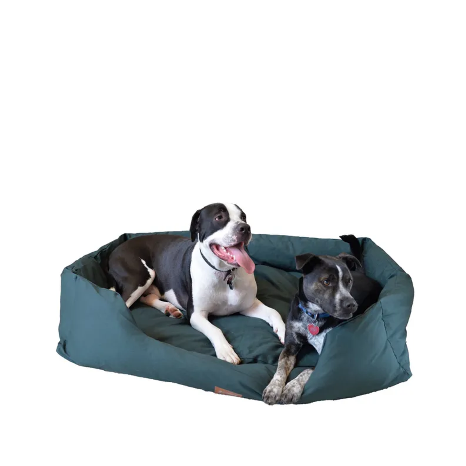 AeroMark International Inc Armarkat Bolstered Dog Bed