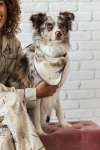 Alto Modas Dog Clothes