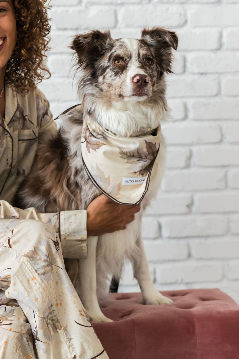 Alto Modas Buddy Dog Bandana Dog Clothes