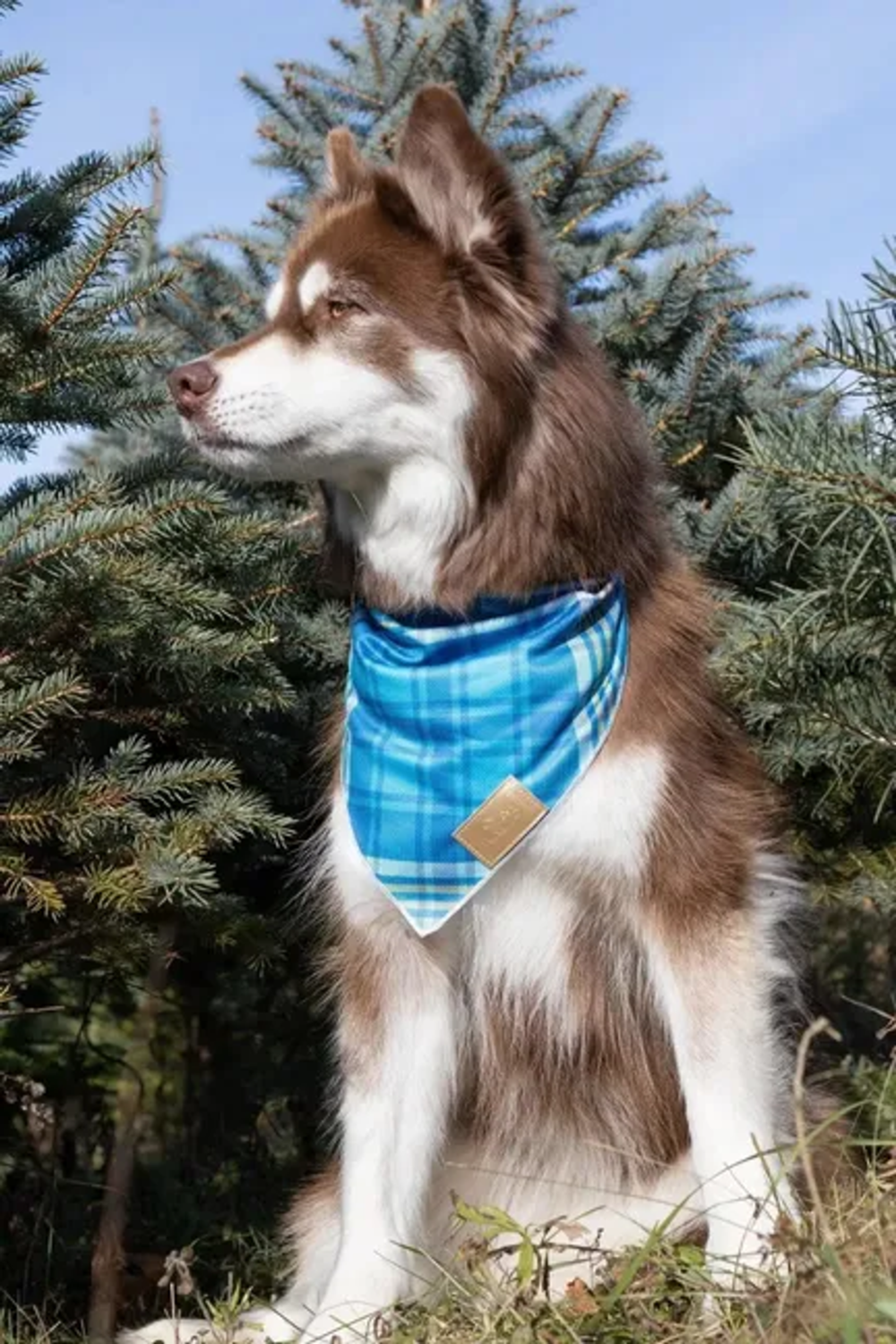 Aria the Fox LLC Blue Spruce Plaid Dog Bandana Dog Bandanas