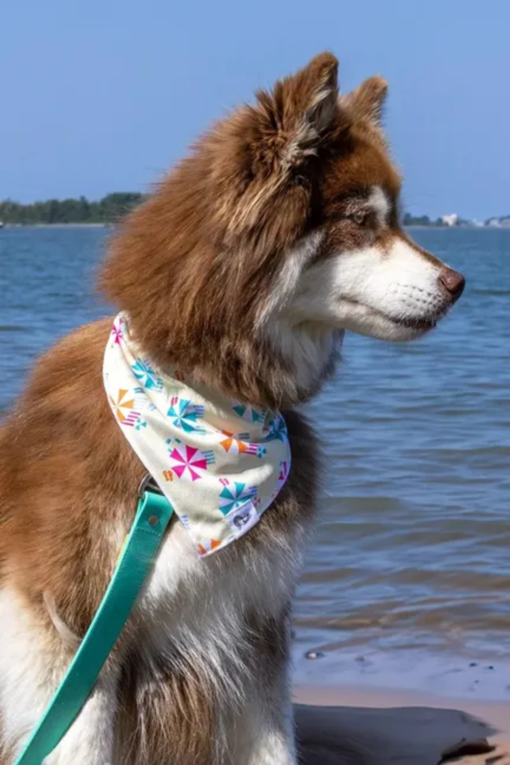 Aria the Fox LLC Sun & Shade Dog Bandana Dog Bandanas