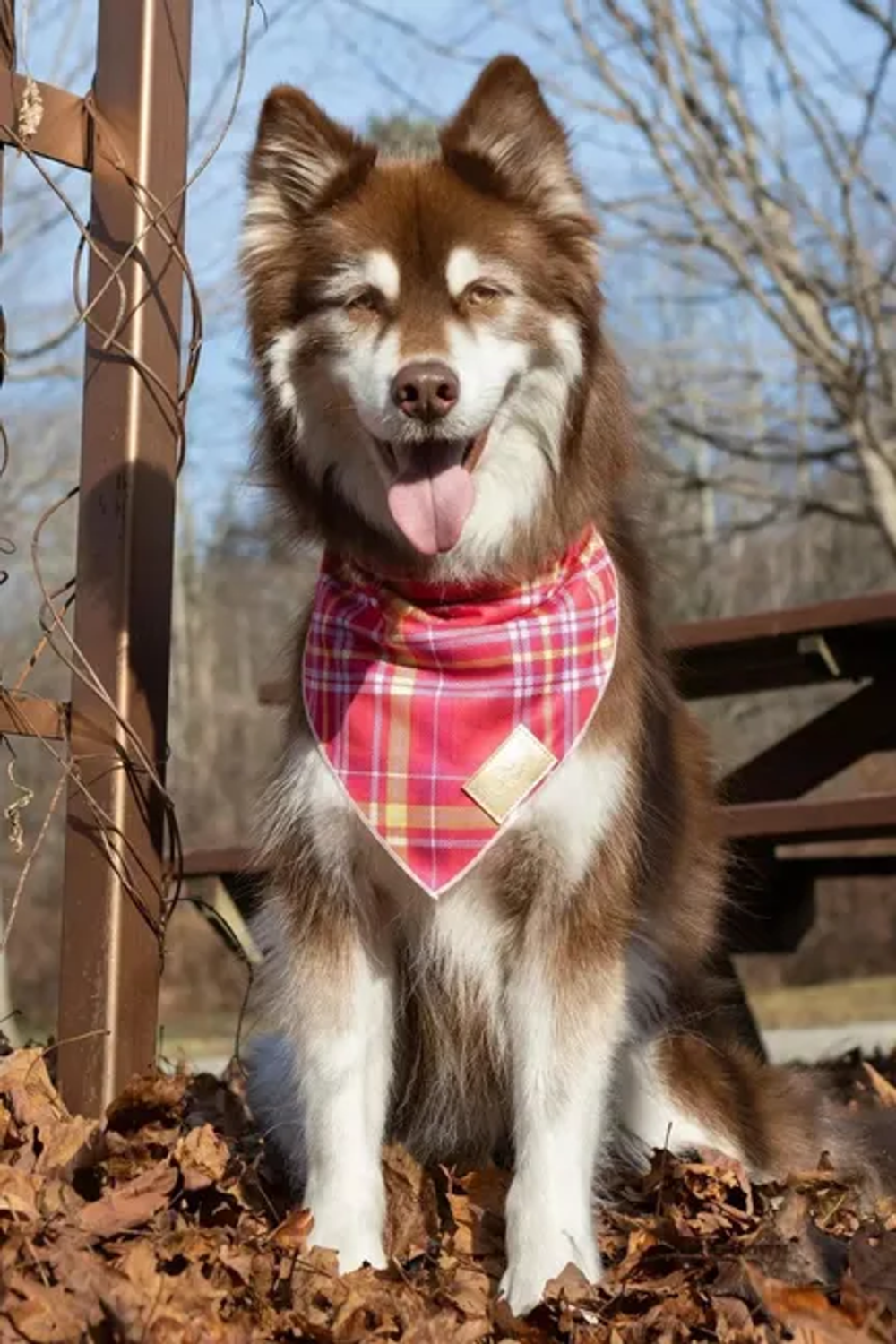 Aria the Fox LLC Wine Plaid Dog Bandana Dog Bandanas