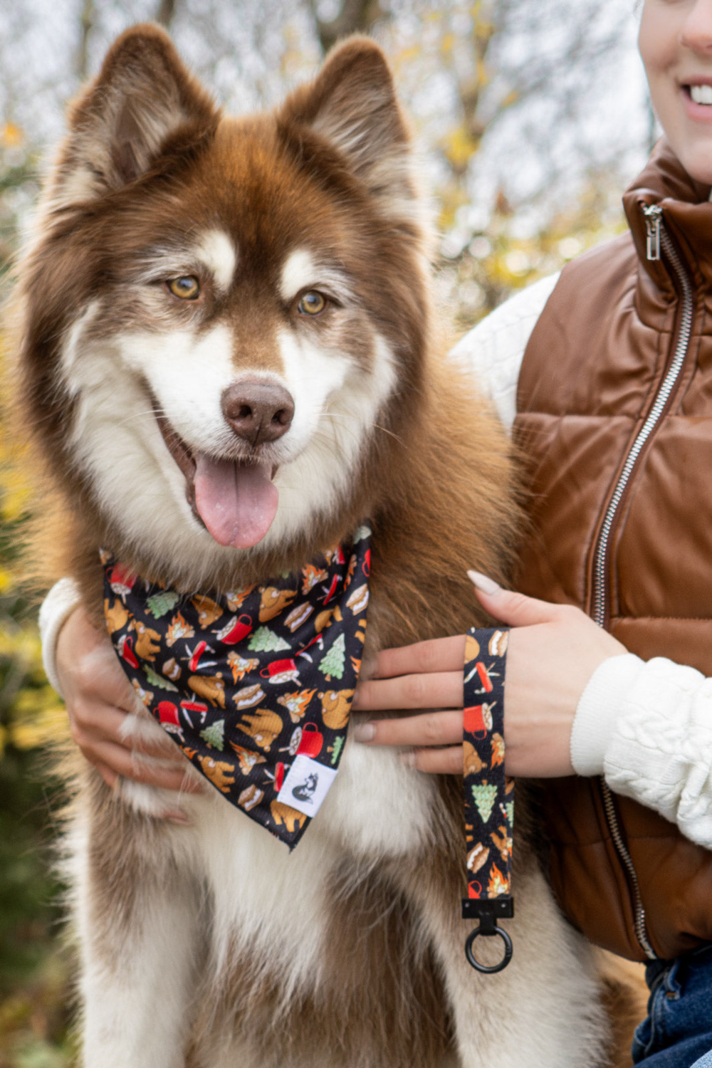 Aria the Fox LLC Woodland Tales Dog Bandana & Matching Keychain Dog Bandanas