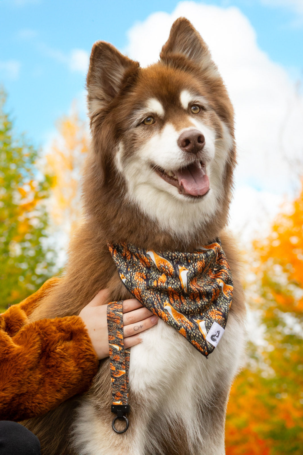 Aria the Fox LLC Foxes in Fall Dog Bandana & Matching Keychain Dog Bandanas