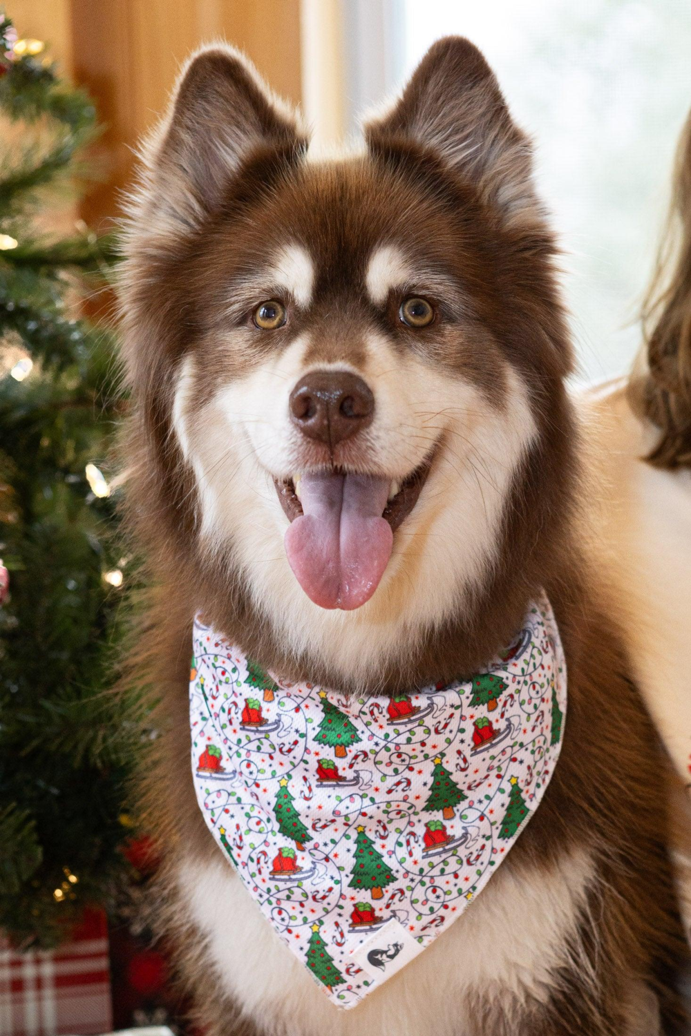 Aria the Fox LLC Howliday Cheer Dog Bandana Dog Bandanas