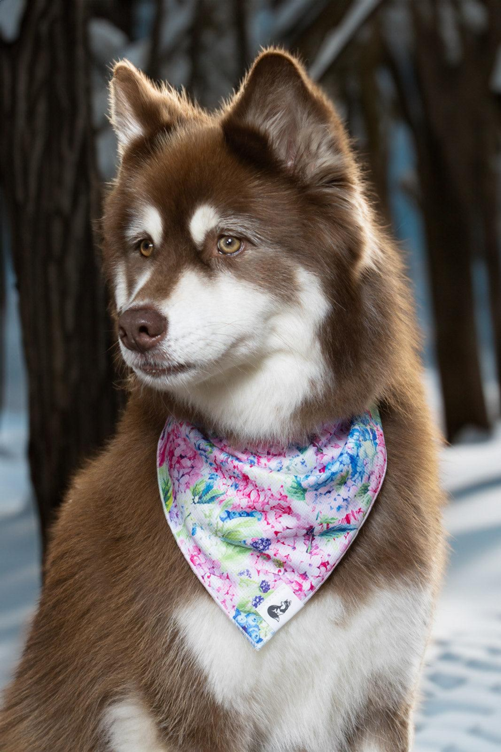 Aria the Fox LLC Hydrangea Haven Dog Bandana & Matching Keychain Dog Bandanas