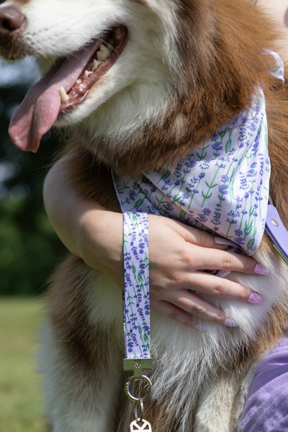 Aria the Fox LLC Lavender Blooms Dog Bandana & Matching Keychain Dog Bandanas