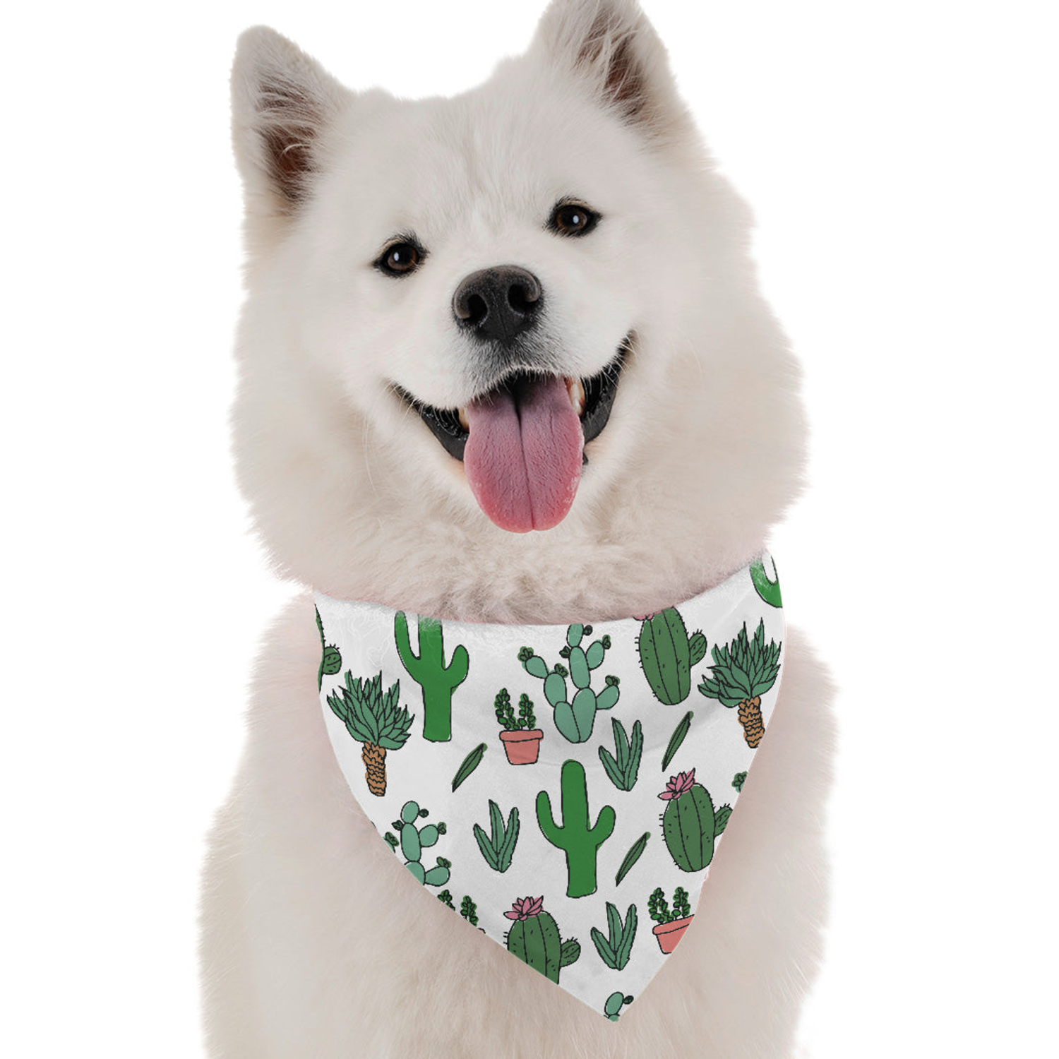 Bandoggies Cutsie Cactus Dog Bandanas