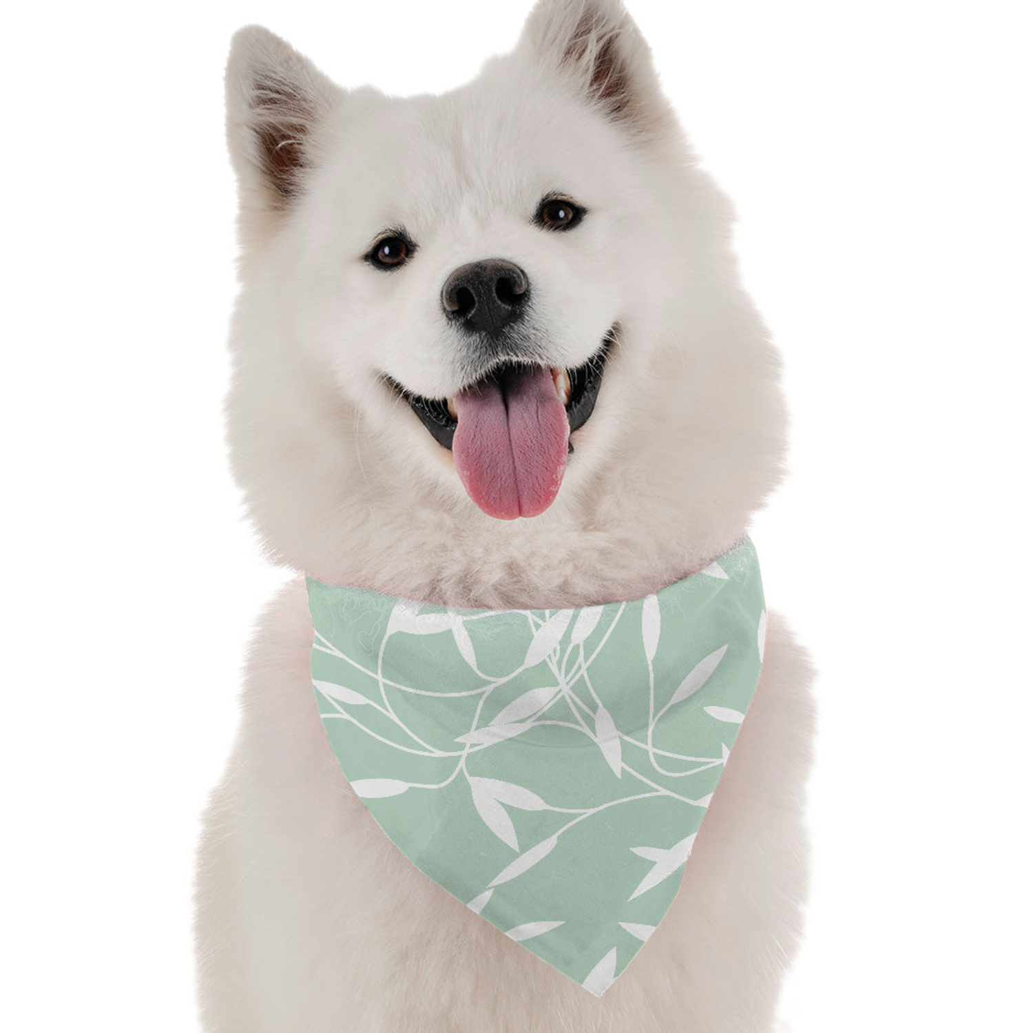 Bandoggies Reed Dog Bandanas