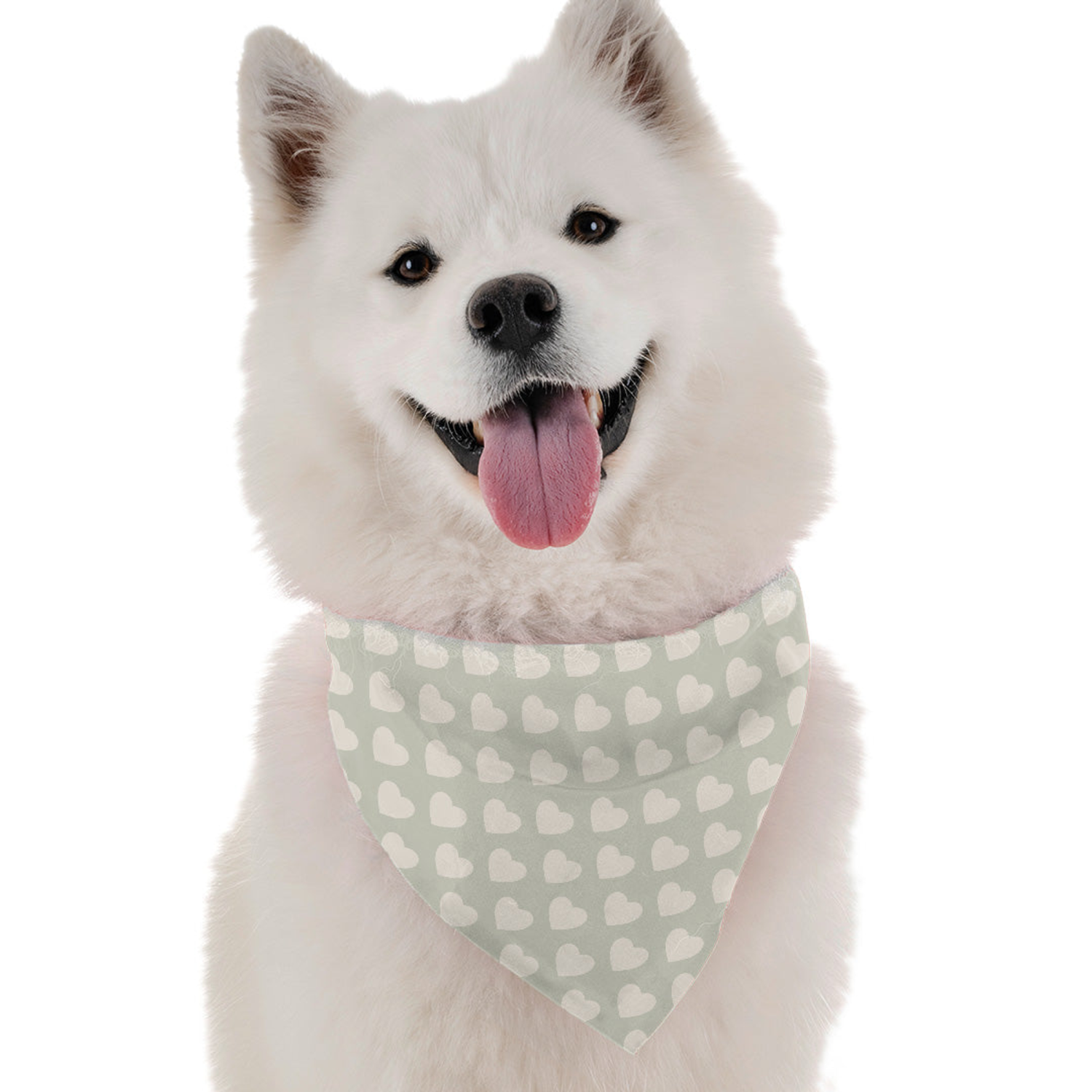 Bandoggies Sweetie Dog Bandanas