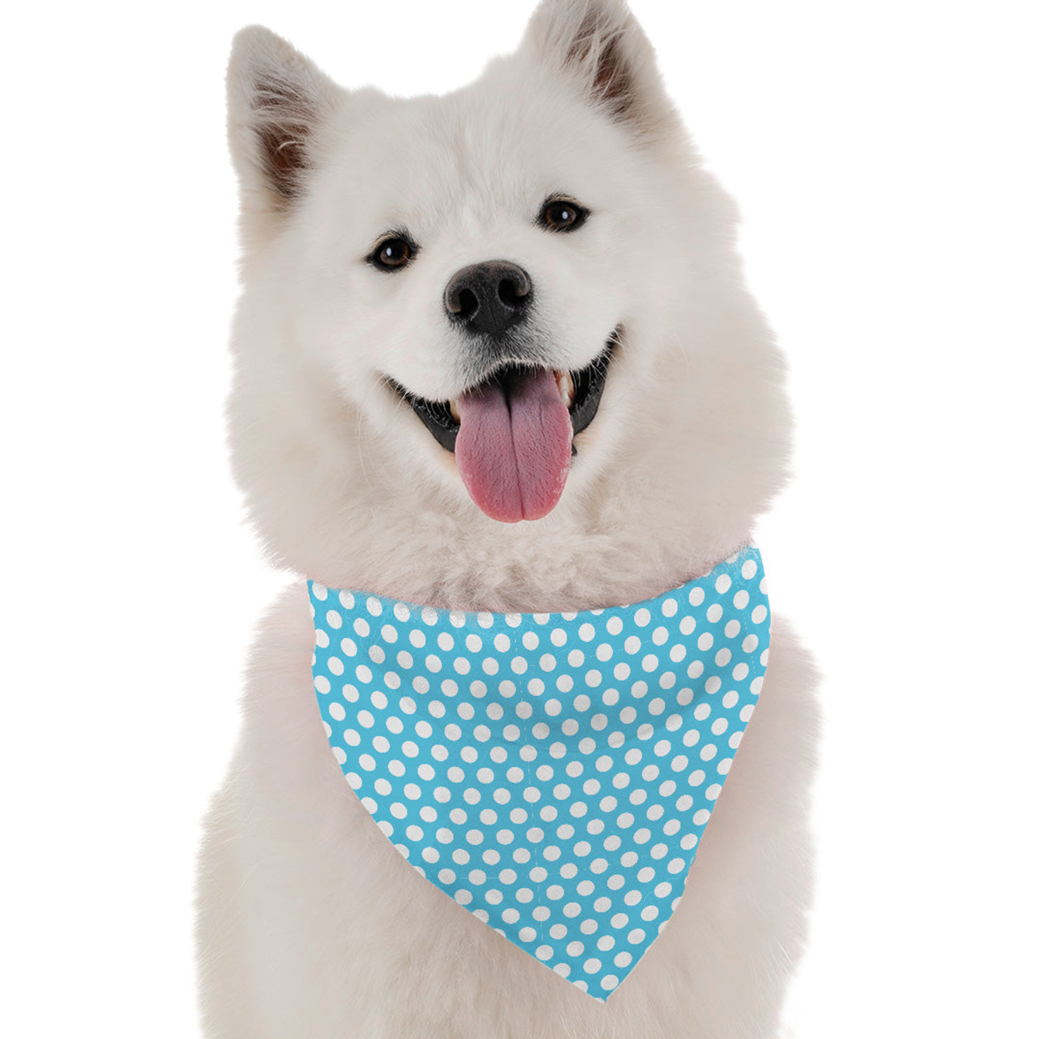 Bandoggies Splash Dog Bandanas