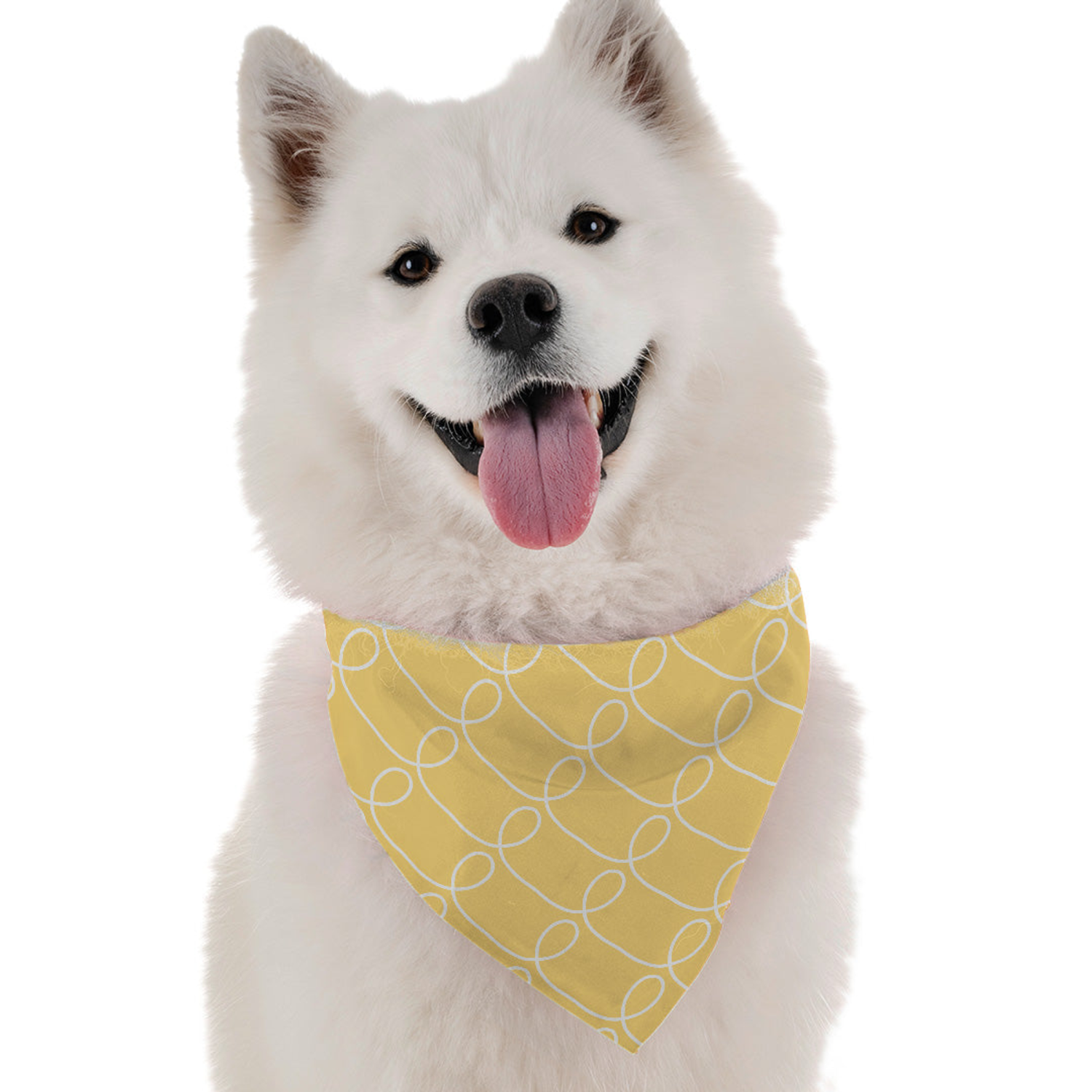 Bandoggies Curly Cue Dog Bandanas