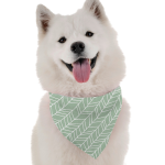 Bandoggies Dog Bandanas