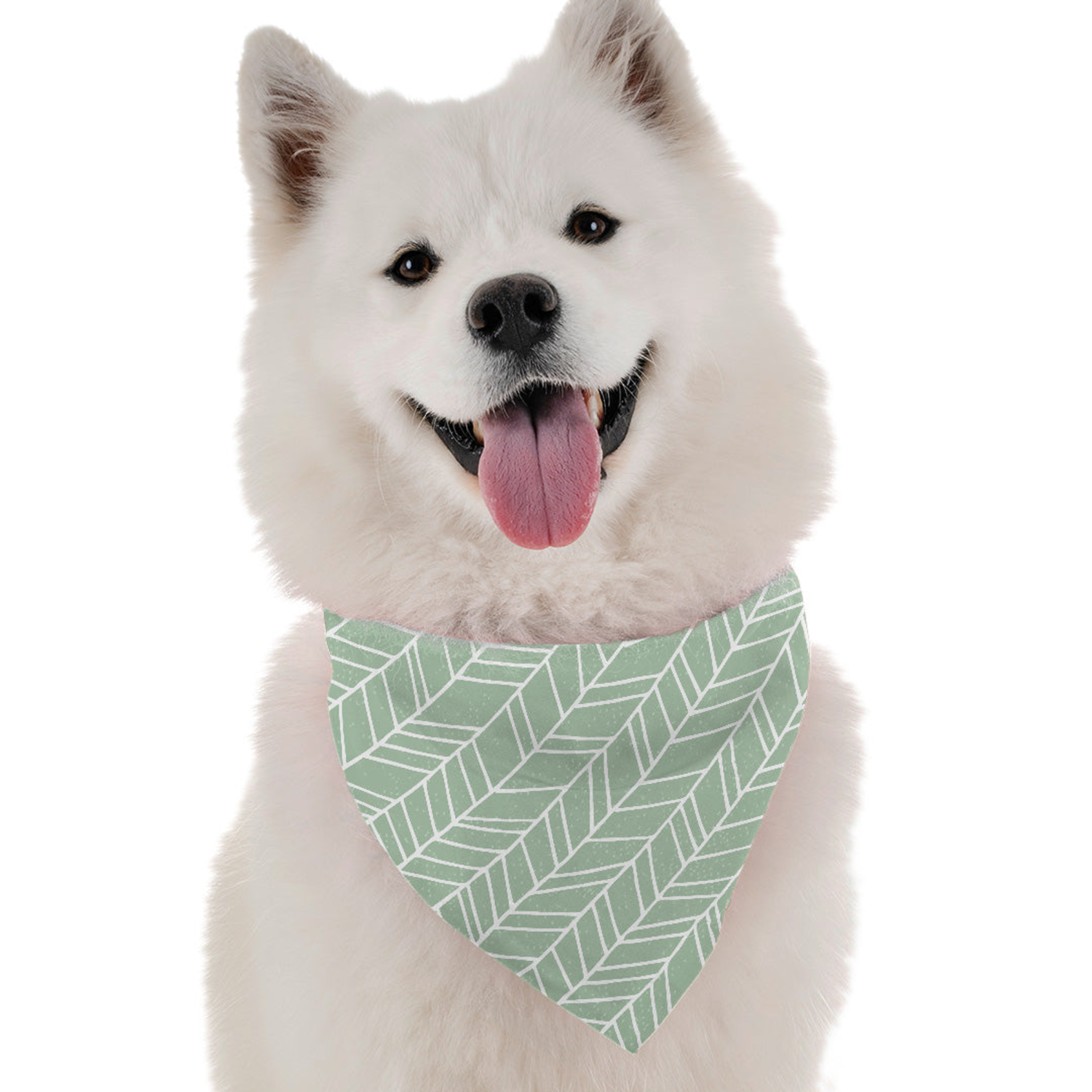Bandoggies Jade Dog Bandanas