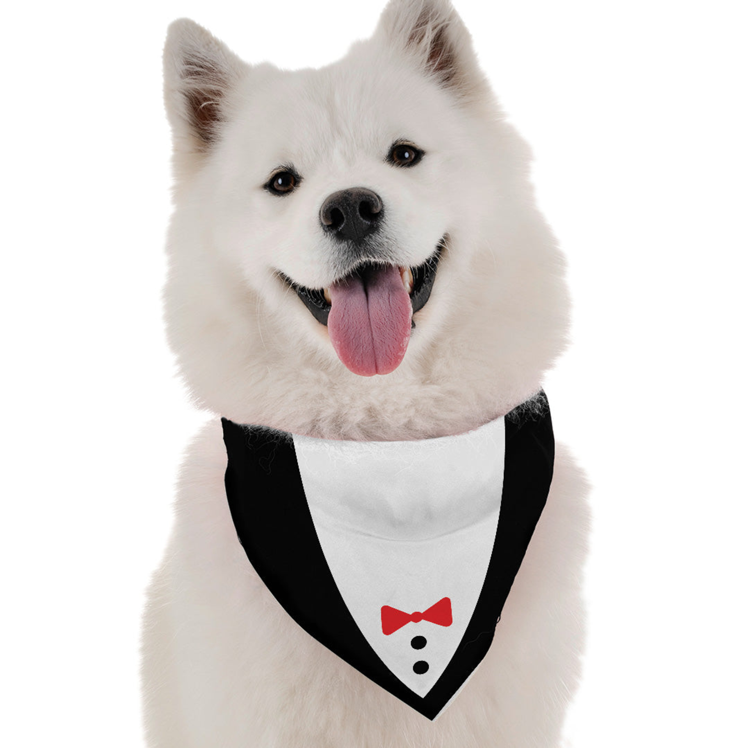 Bandoggies Tuxedo Dog Bandanas