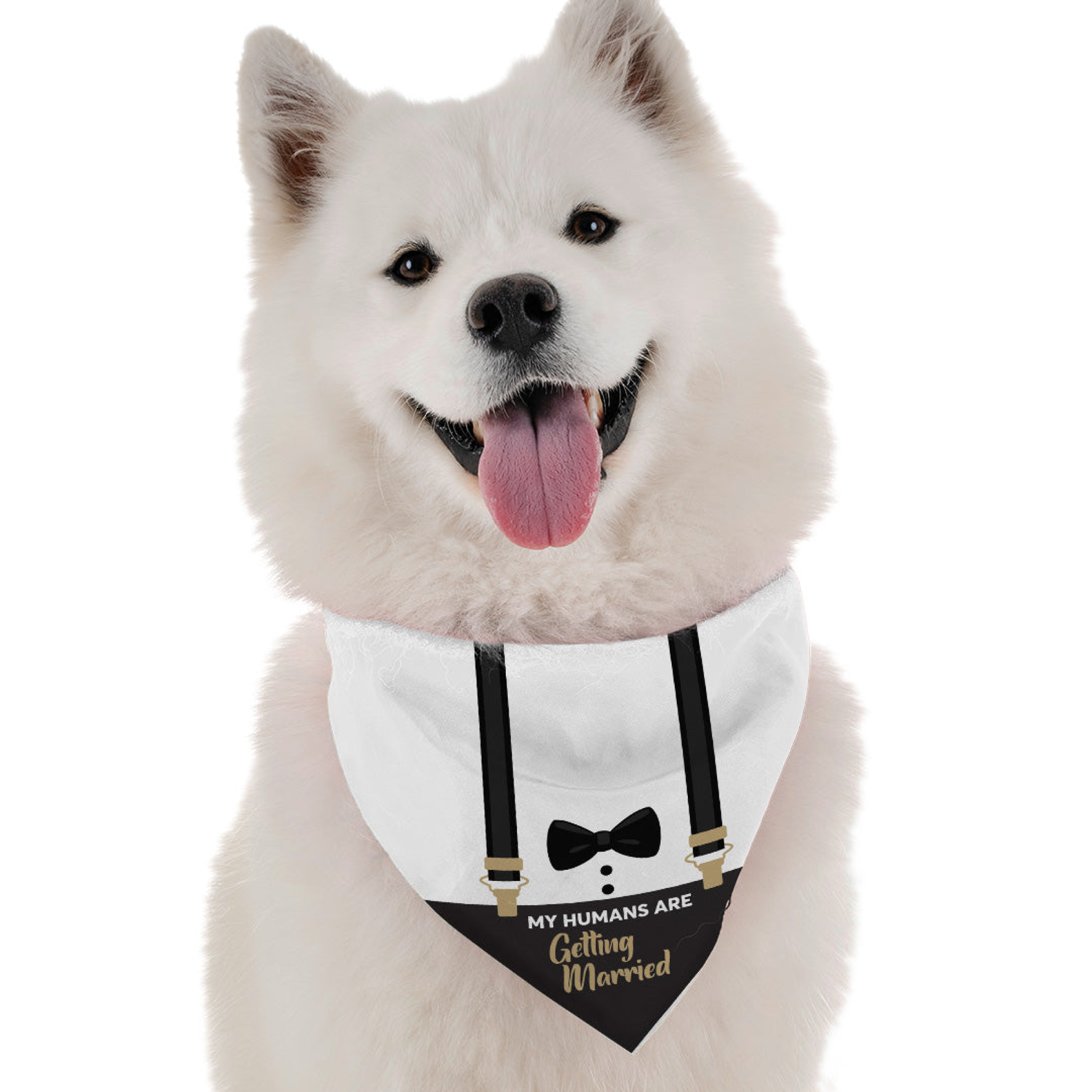 Bandoggies My Humans Are Getting Married Dog Bandanas