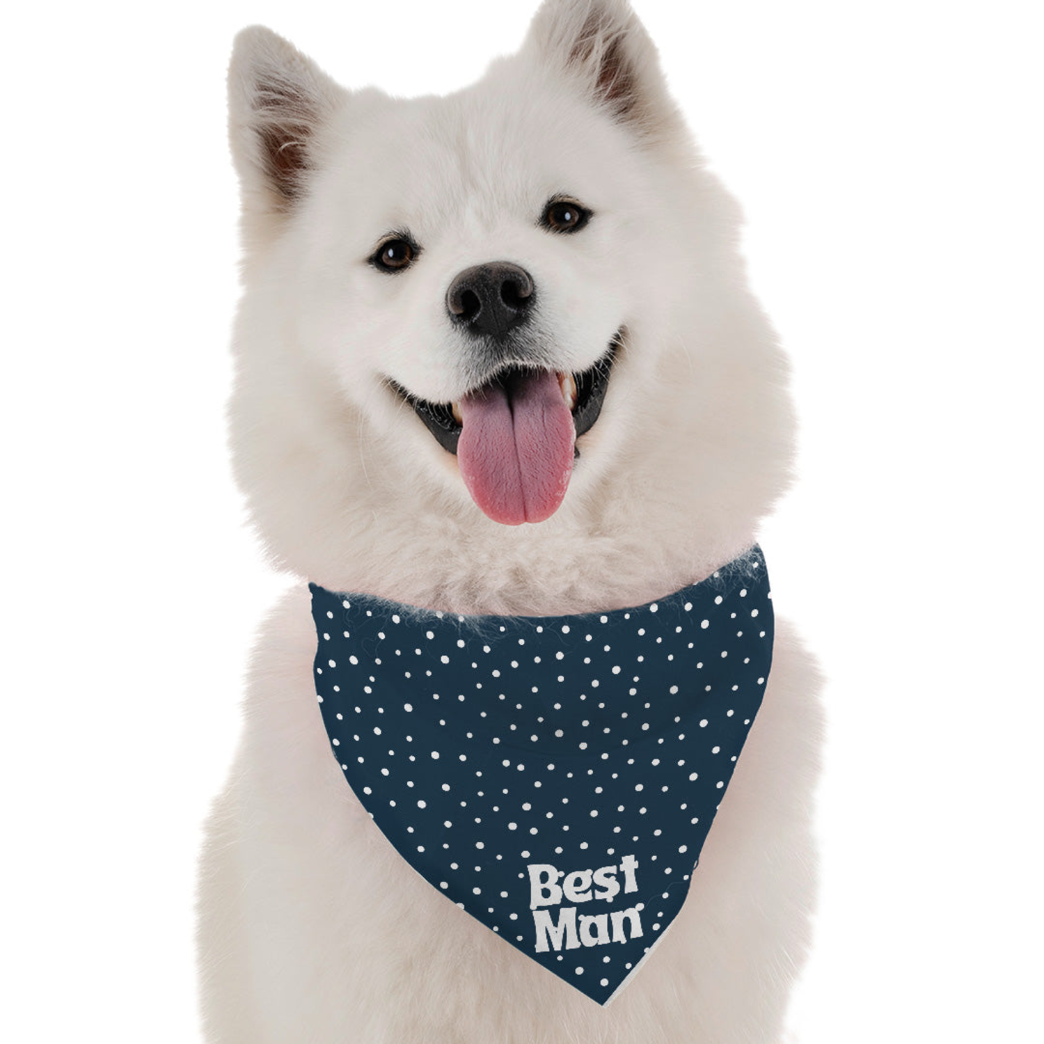 Bandoggies Best man Dog Bandanas