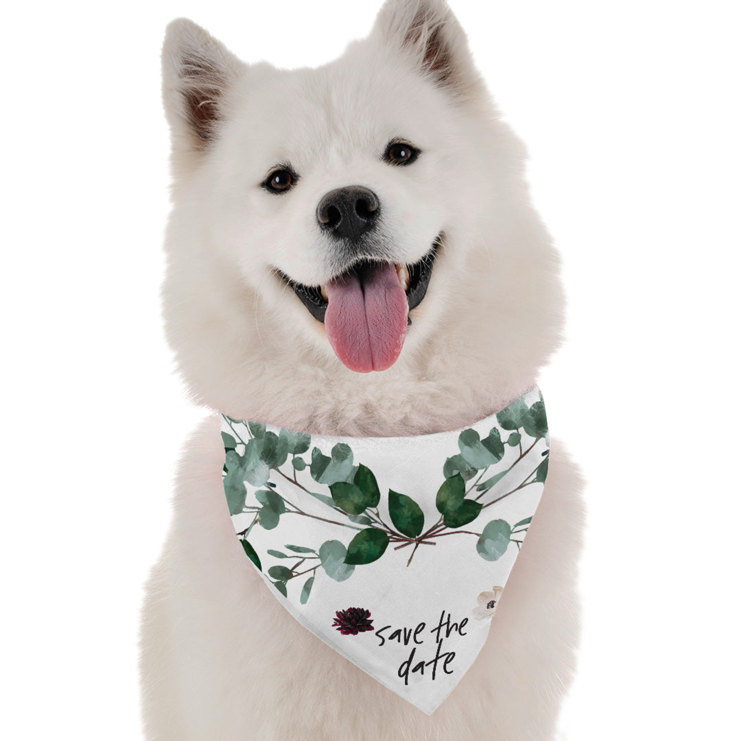Bandoggies Save the Date Dog Bandanas