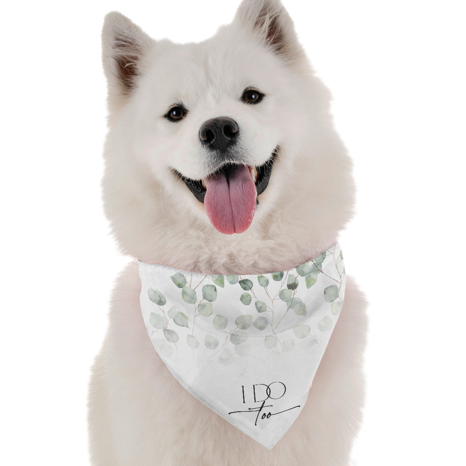 Bandoggies I Do Too (Girl) Dog Bandanas