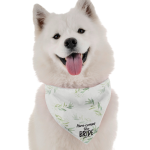 Bandoggies Dog Bandanas