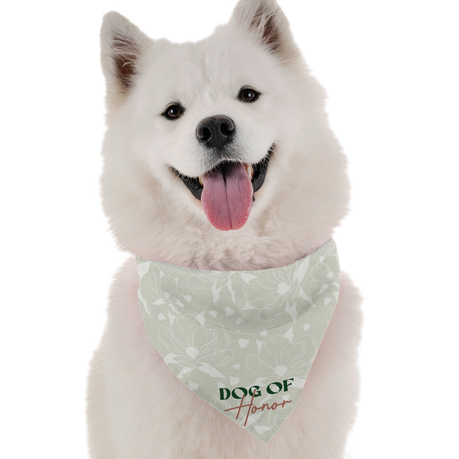 Bandoggies Dog of Honor Dog Bandanas