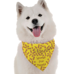 Bandoggies Works for Treats Dog Bandanas