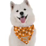 Bandoggies Employee of the Month Dog Bandanas