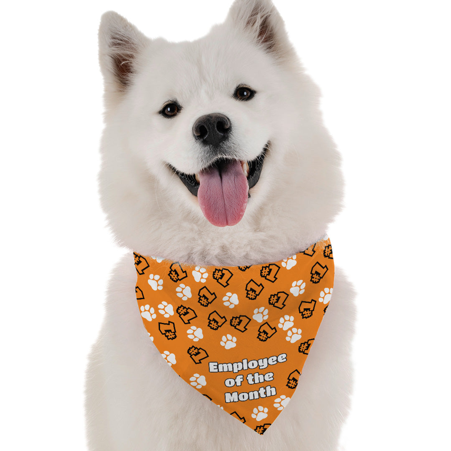 Bandoggies Employee of the Month Dog Bandanas