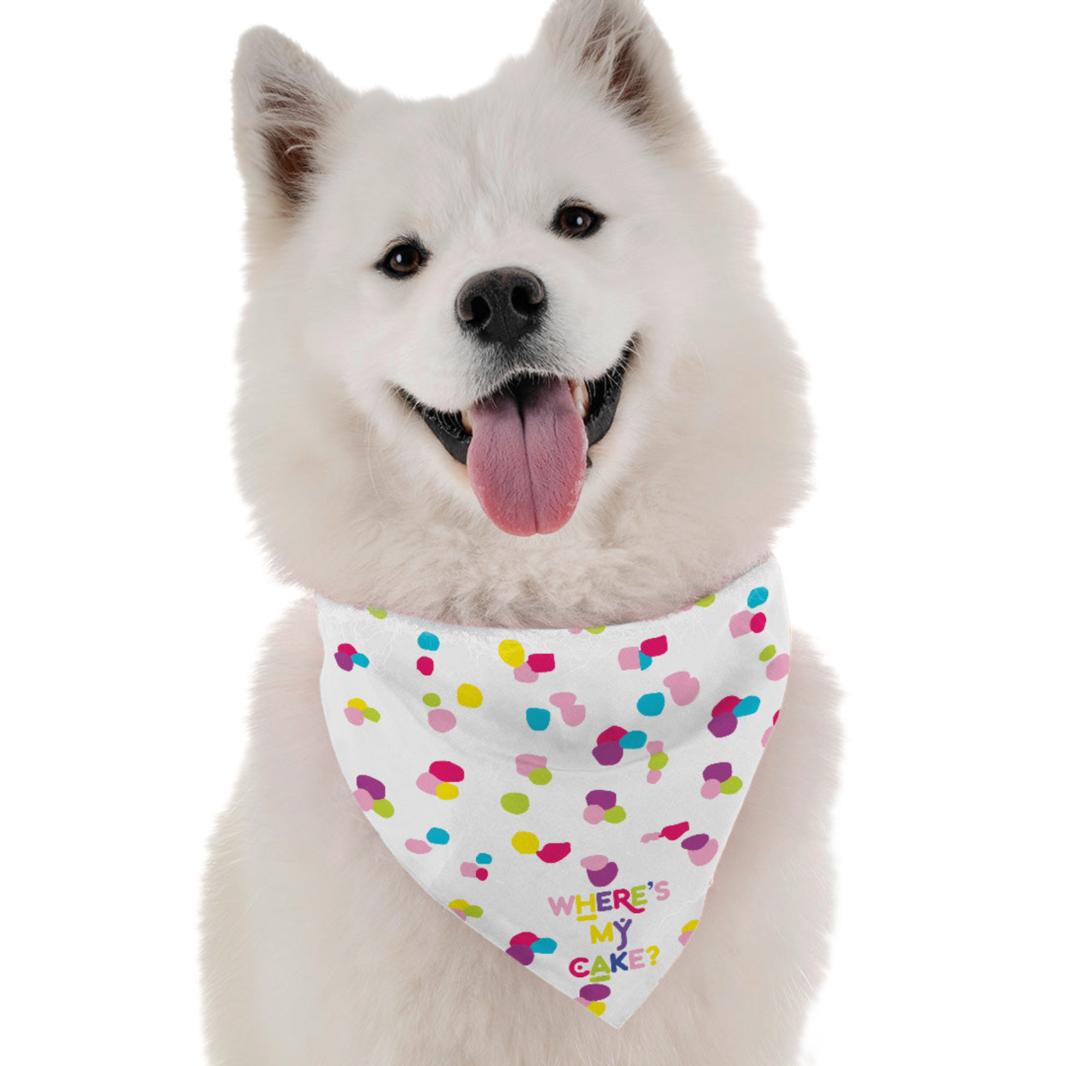 Bandoggies Where's My Cake? (Girl) Dog Bandanas