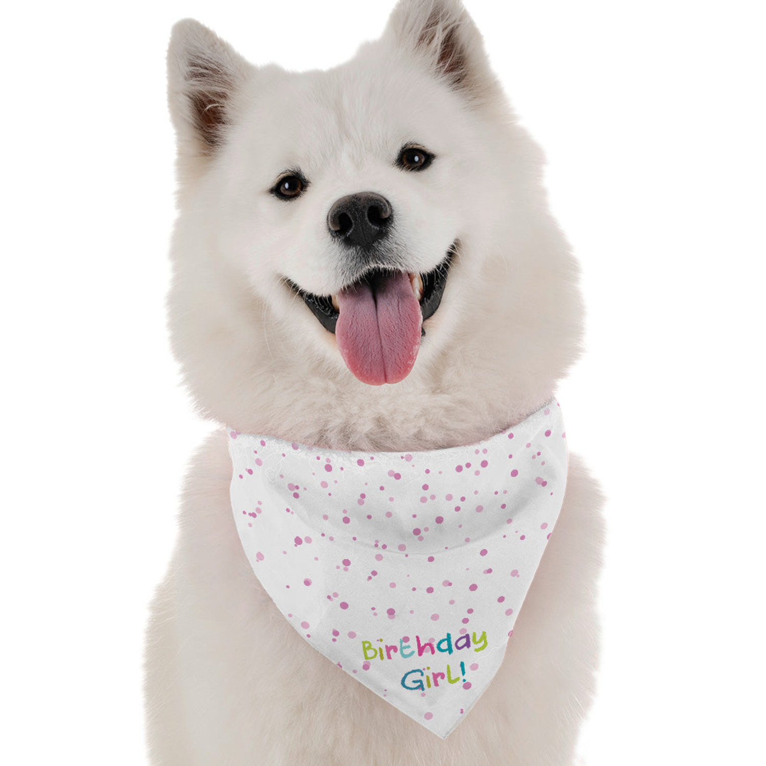Bandoggies Birthday Girl Dog Bandanas