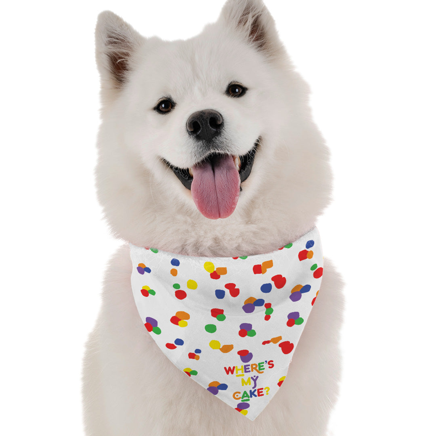 Bandoggies Where's My Cake (Boy) Dog Bandanas