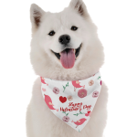 Bandoggies Happy Valentine's Day Dog Bandanas