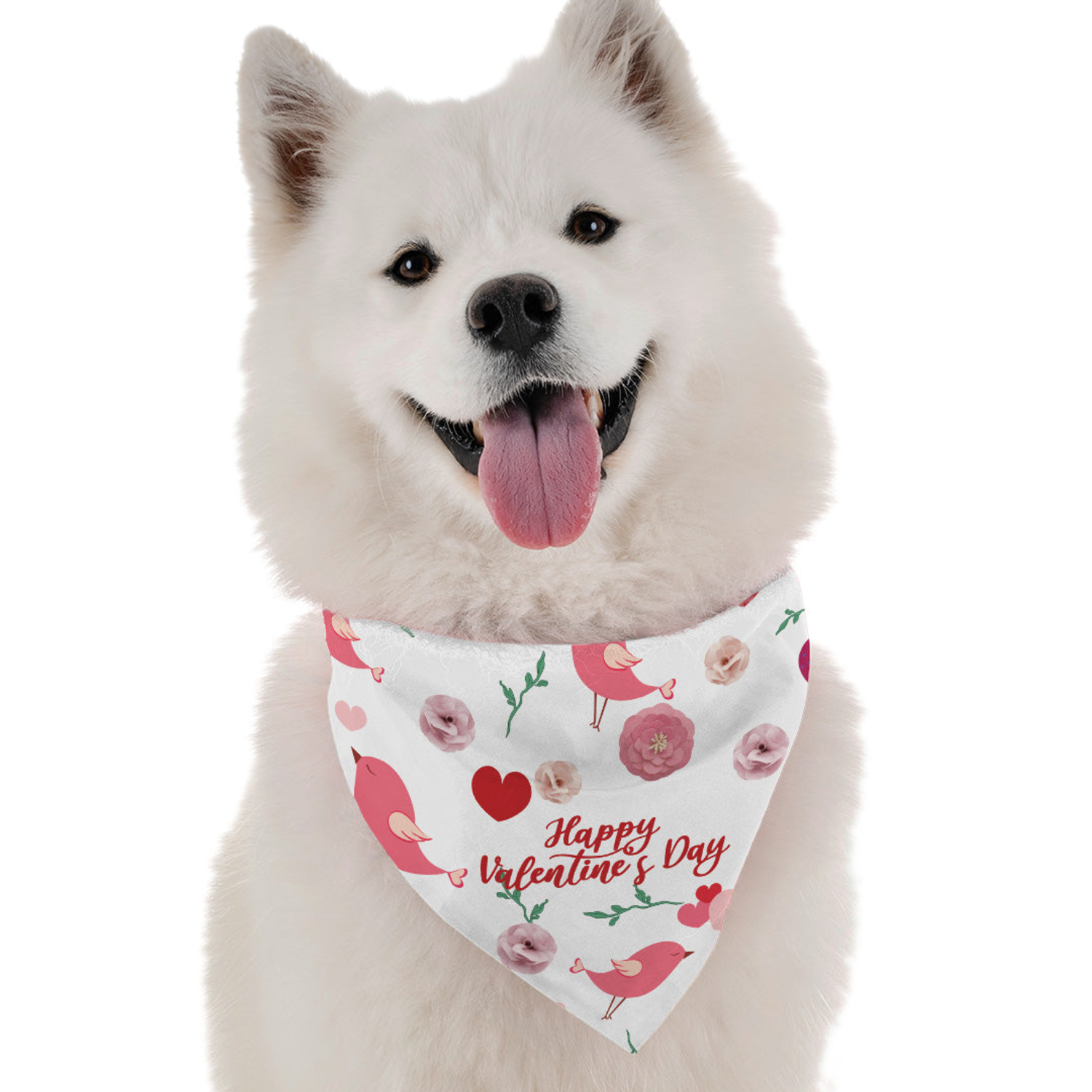 Bandoggies Happy Valentine's Day Dog Bandanas