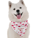 Bandoggies Dog Kisses 5 Cents Dog Bandanas