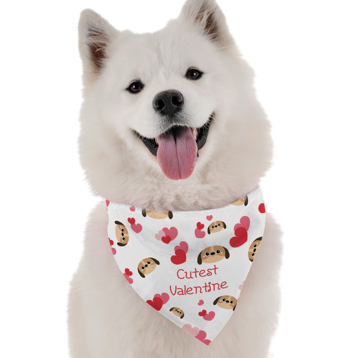 Bandoggies Cutest Valentine Dog Bandanas