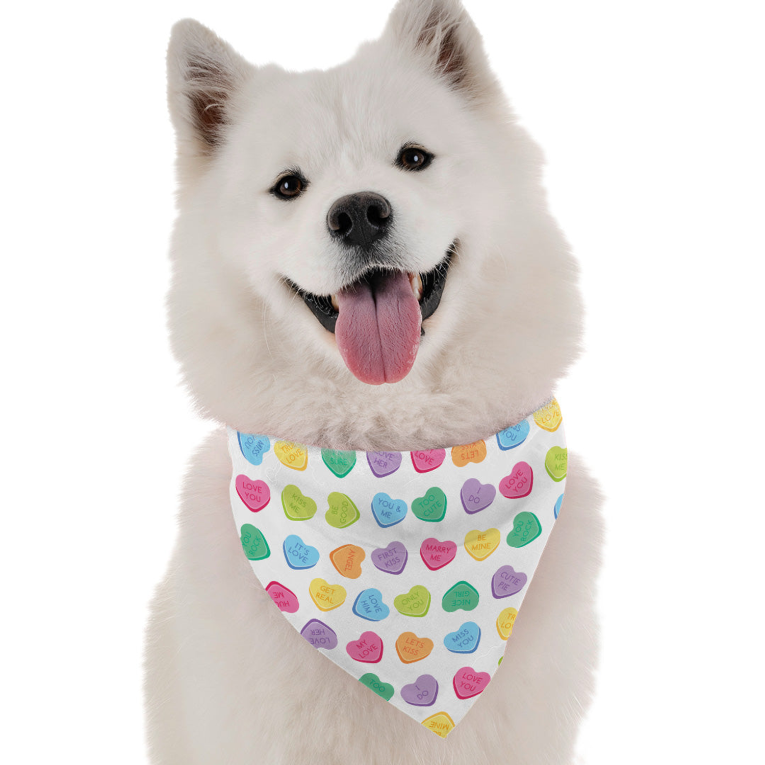Bandoggies Candy Hearts Dog Bandanas