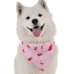 Bandoggies Dog Bandanas