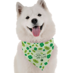 Bandoggies Dog Bandanas