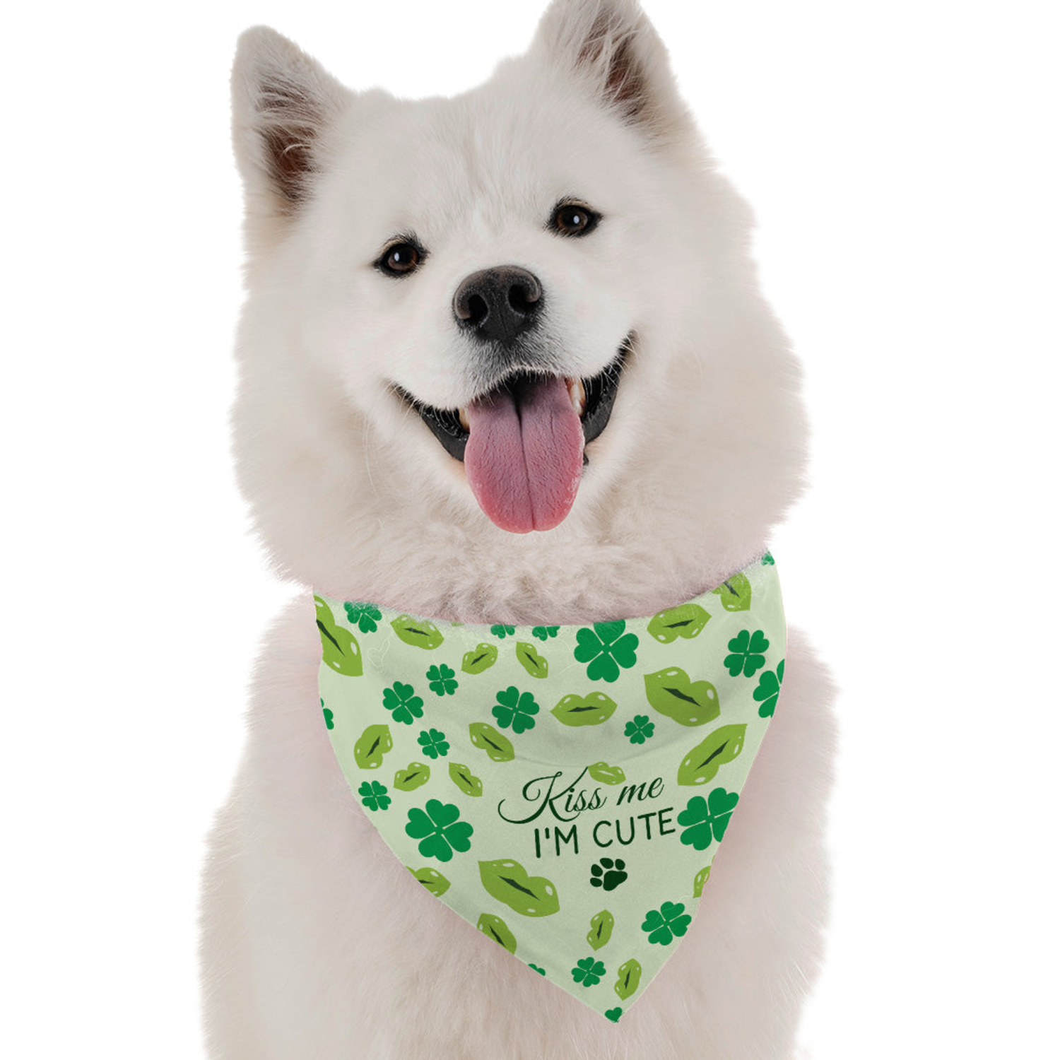Bandoggies Kiss Me I'm Cute Dog Bandanas