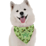 Bandoggies The Leprechaun Made Me Do It Dog Bandanas