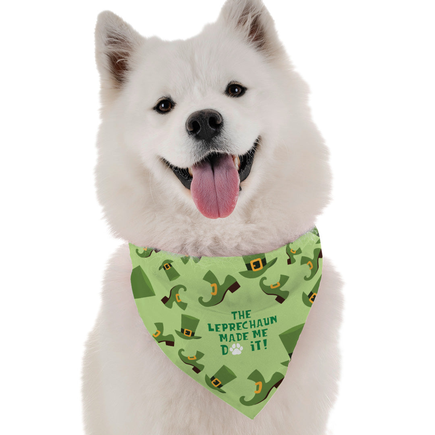Bandoggies The Leprechaun Made Me Do It Dog Bandanas