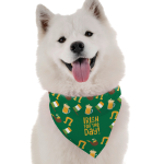 Bandoggies Dog Bandanas