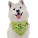 Bandoggies Dog Bandanas