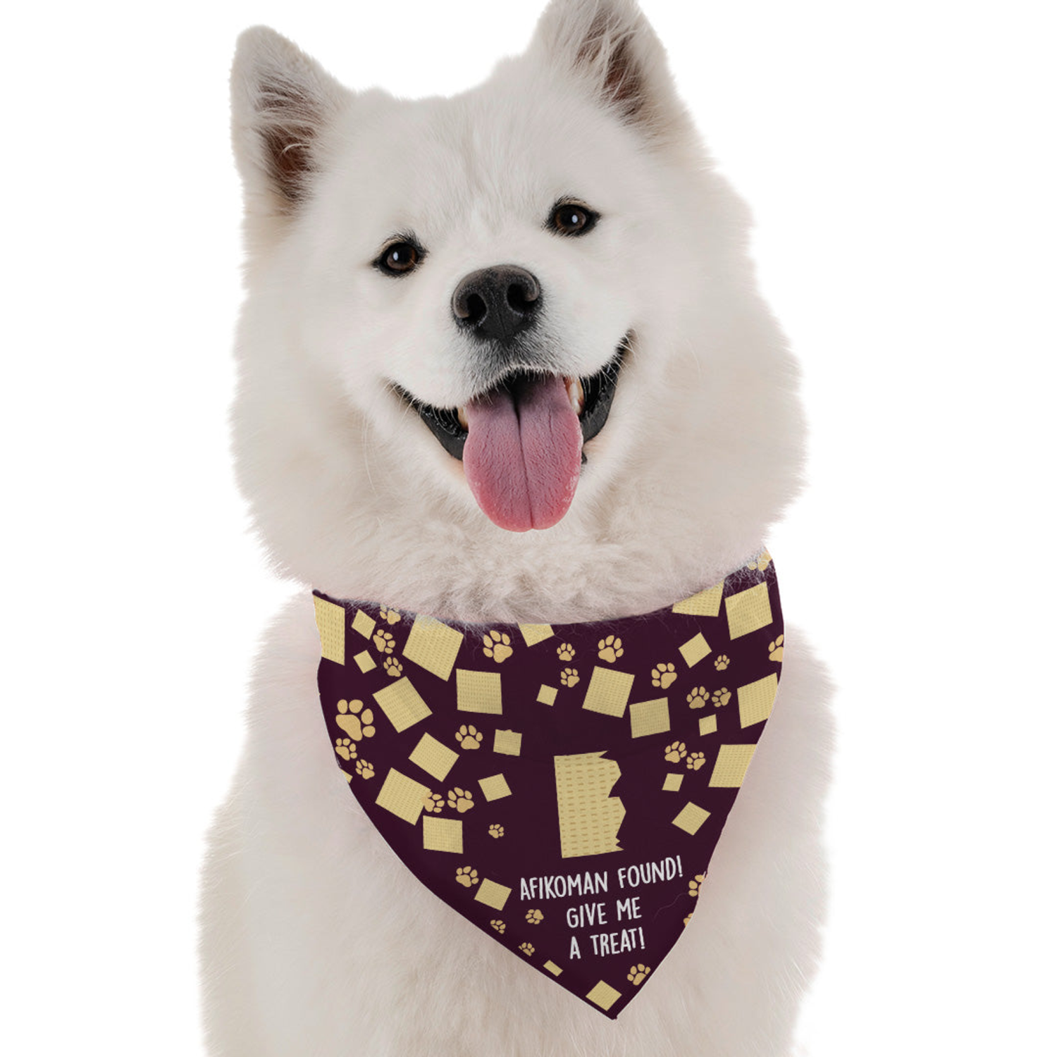 Bandoggies I Found the Afikoman Dog Bandanas
