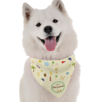 Bandoggies Dog Bandanas