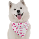 Bandoggies Dog Bandanas