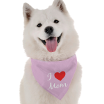 Bandoggies Dog Bandanas
