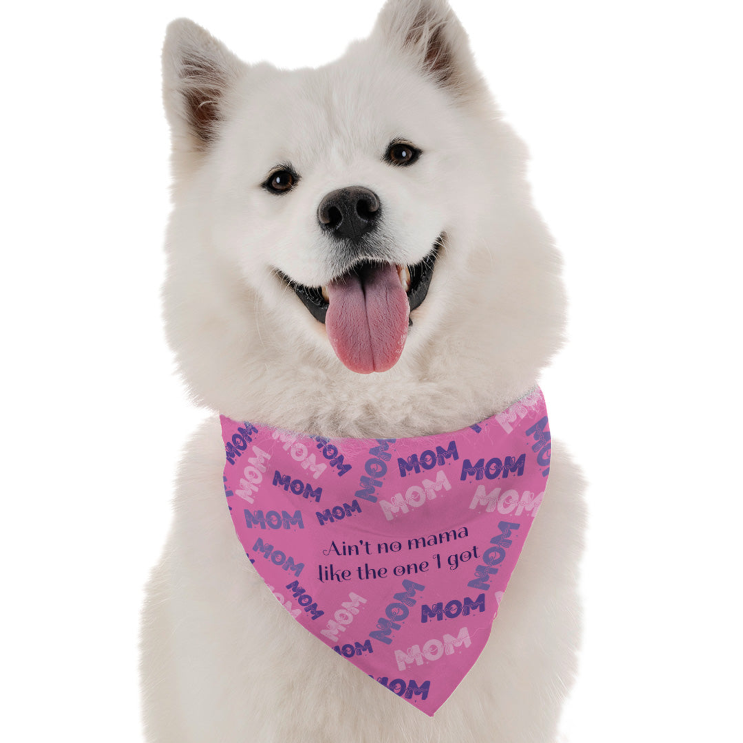 Bandoggies Ain't no Momma Like the One I Got Dog Bandanas